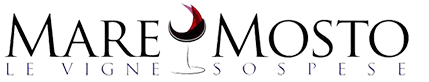 logo Mare logo_maremosto