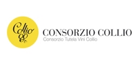 consorzio-collio