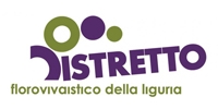distretto-flori