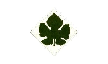 Maccario Dringenberg