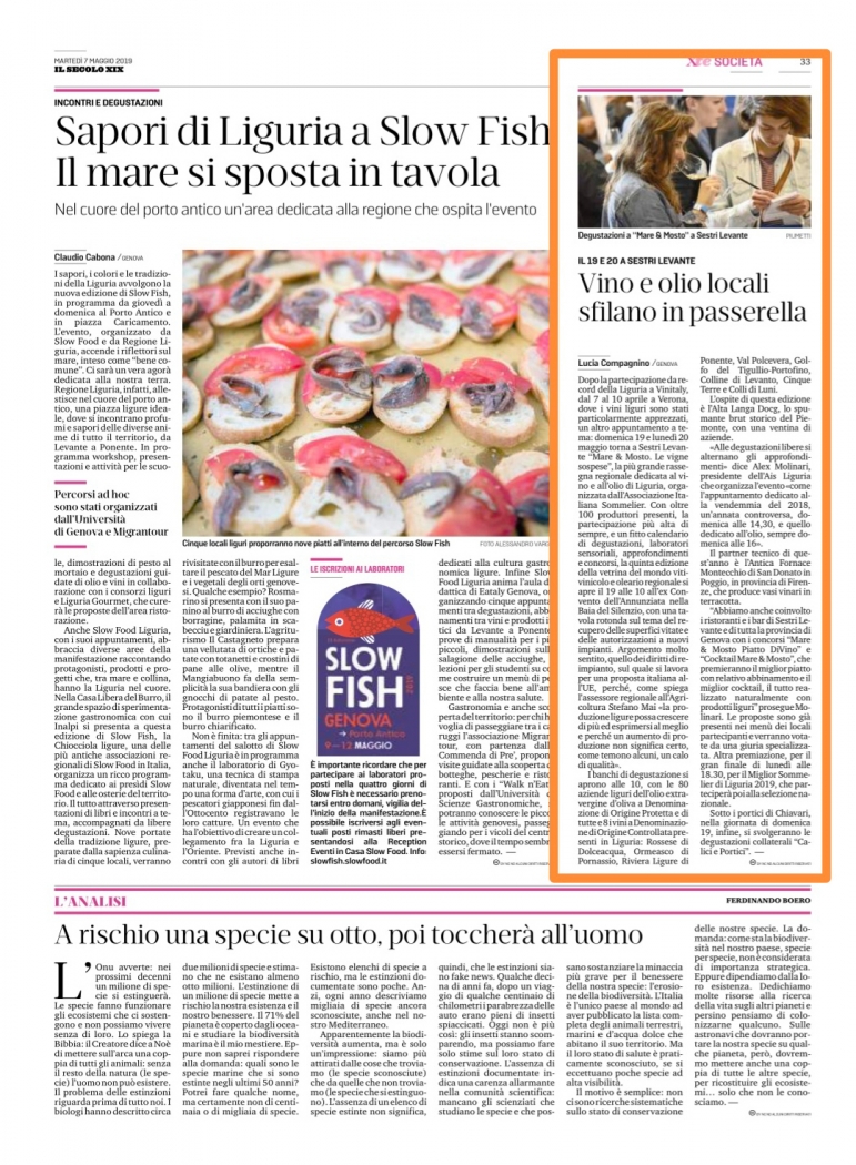 Vino e olio locali sfilano in passerella
