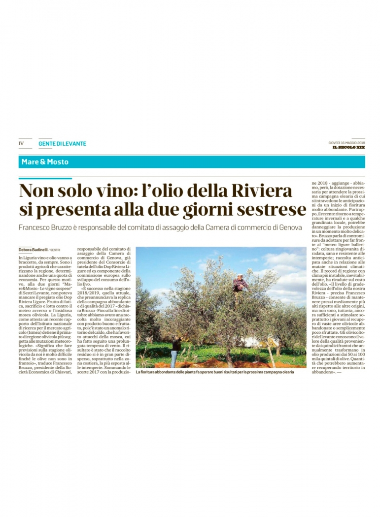 Non solo vino: l'olio della Riviera si presenta alla due giorni sestrese